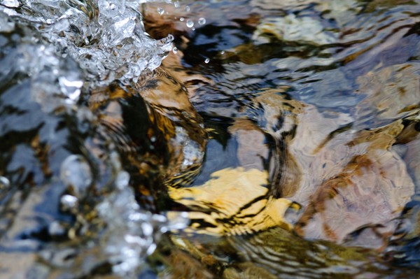 Creek