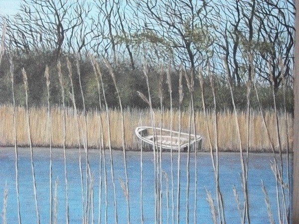boat through reeds