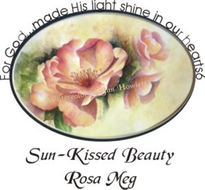 Sun-Kissed Beauty, Rosa Meg Vignette