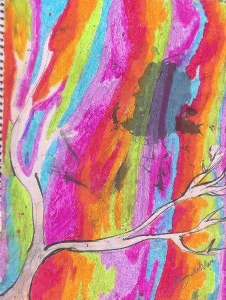 colorful woods 