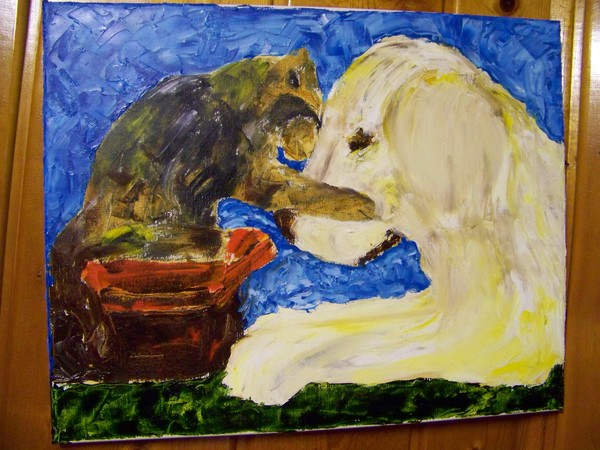 Cats love dogs