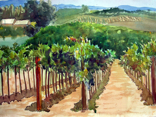 Alexander Valley Vineyard