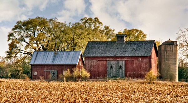 StarBarn