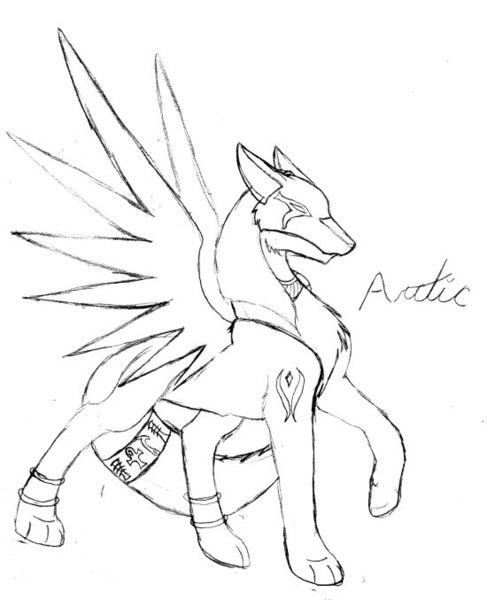 Arctics new look?