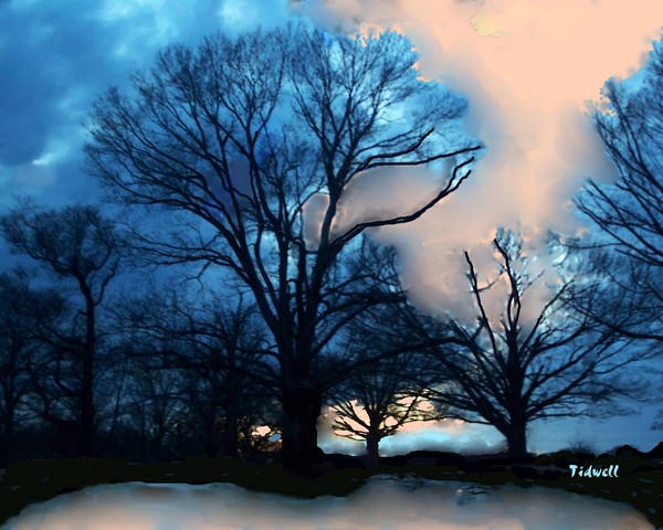 Winter Night