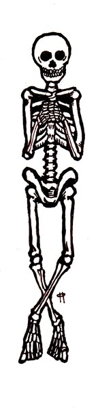 Bones (Please may I?)