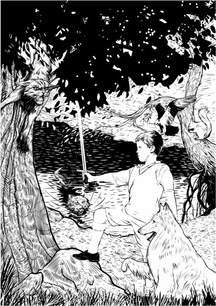 Hamish And The Kingdom Of The Wildcats