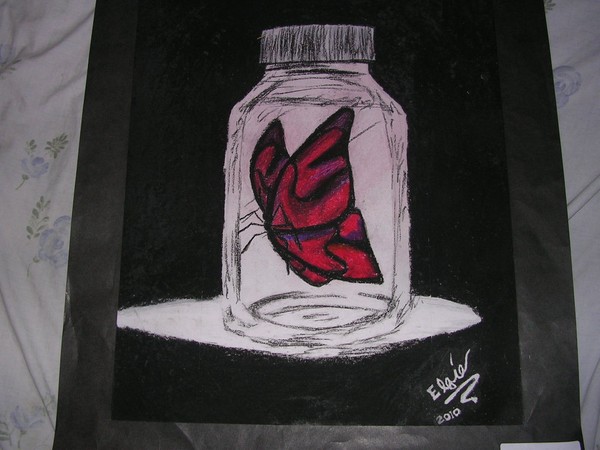 Butterfly Traped