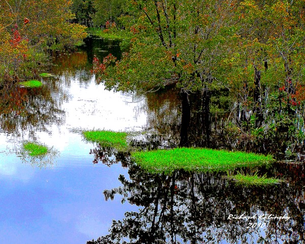 Isles of green