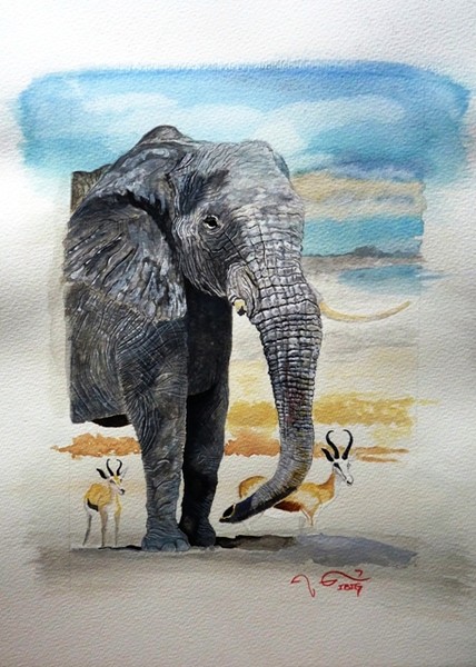 Elephant and Springbok