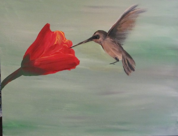 Hummingbird