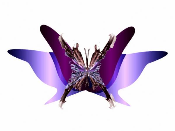 BUTTER FLY 