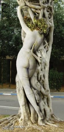 tree