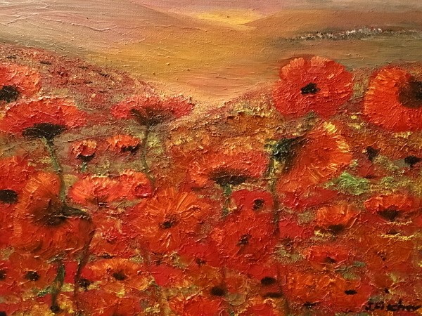 Sunrise Poppy