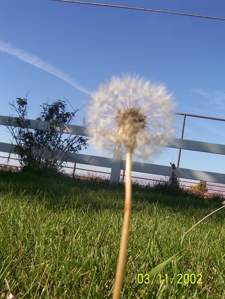 To wish