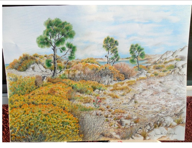 California Desert 1