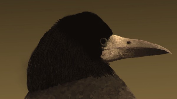A bird ...on a wire close up of head and beak