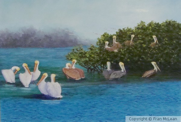 Pelican Island FL-Sold