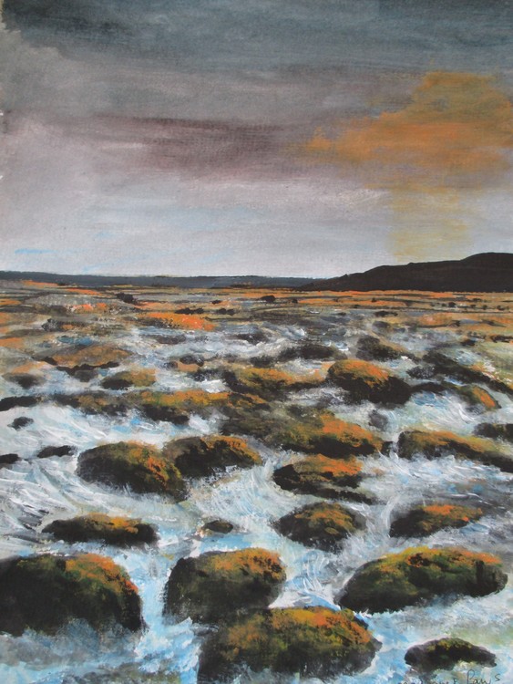 sea and rocks