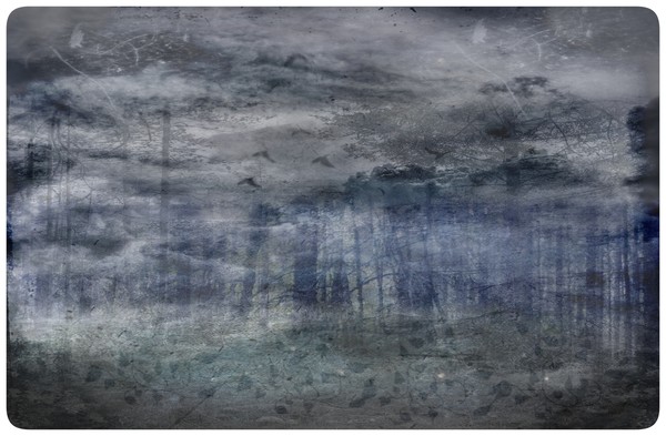 a fading forest