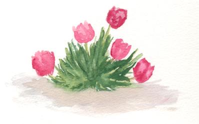 The Pink Flower