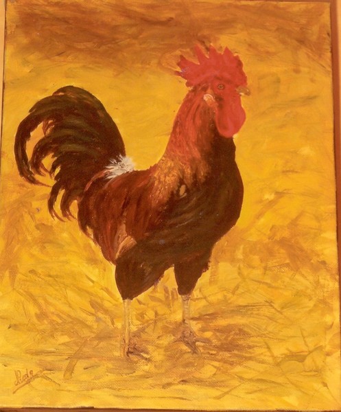 cockerel
