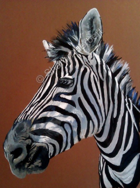 Stripes