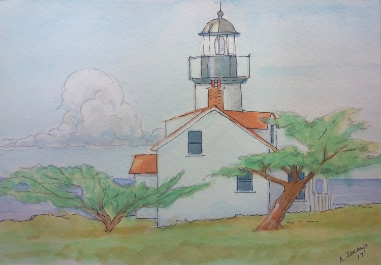study of point pinos,central ca.