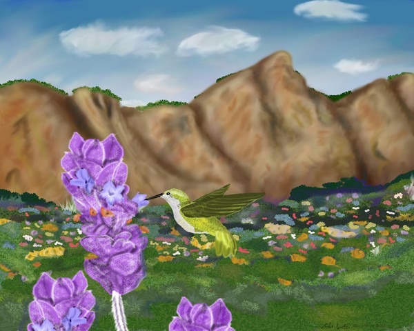 Hummingbird Meadows