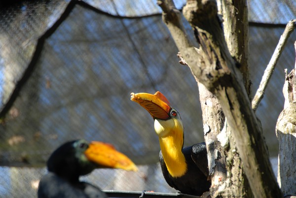 Snack Time