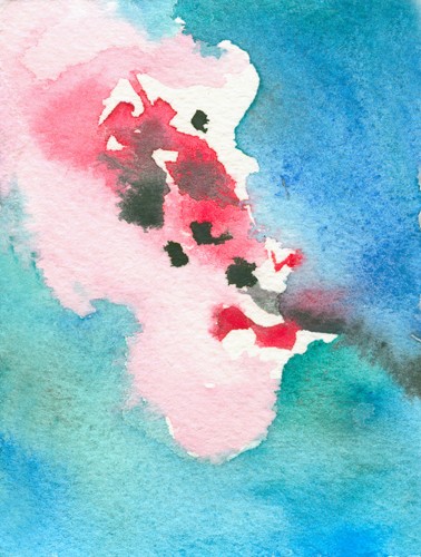 Cherry Blossom