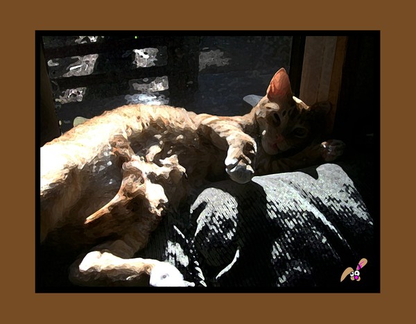 The Warmth of the Sun
