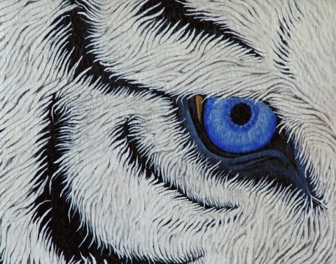 The Tiger's Eye 