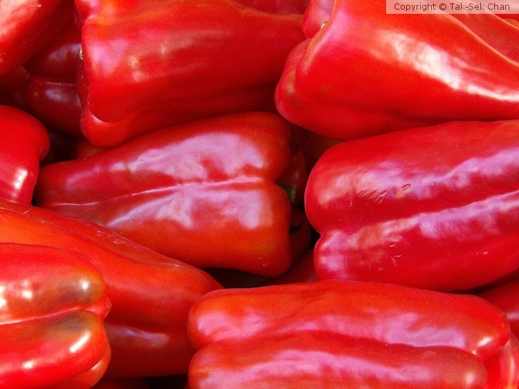 Red Peppers 10-21-2017
