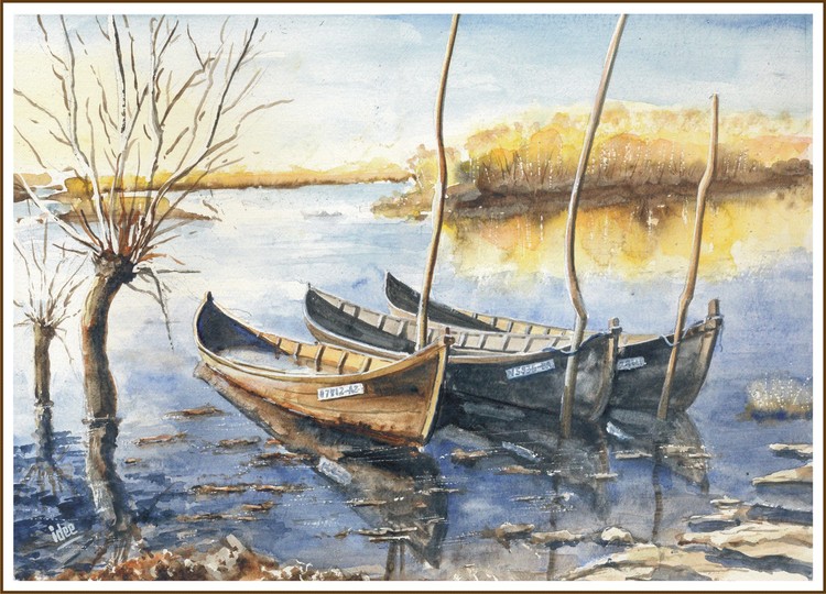Swamp along the Danube