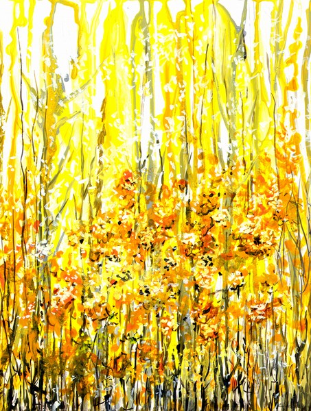 Golden Meadow
