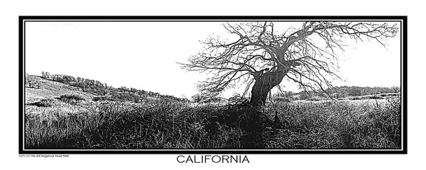 1271 72 The old Ridgerout Road 1984 CARD