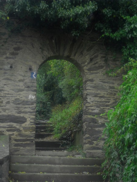 Rheinsteig 09