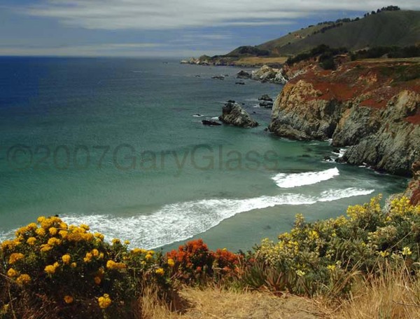 Flowers and Pacific Coastline