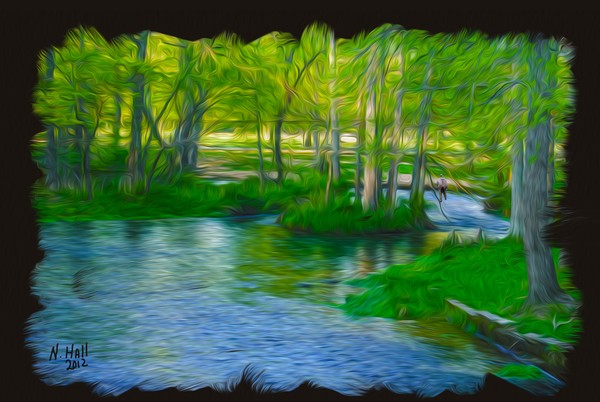 trout stream