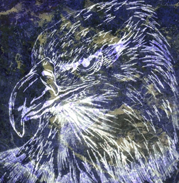 purple marble bald eagle