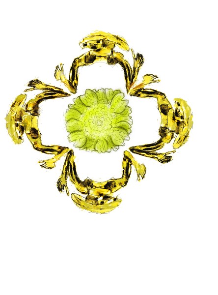 Sunflower a