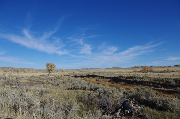 Horse-Tail Clouds