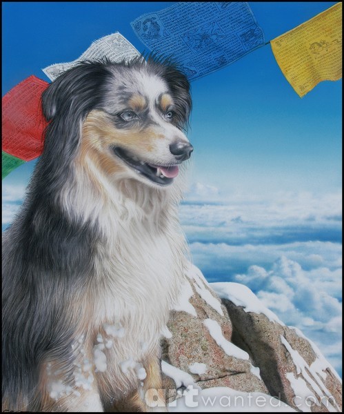 Misty  dog portrait
