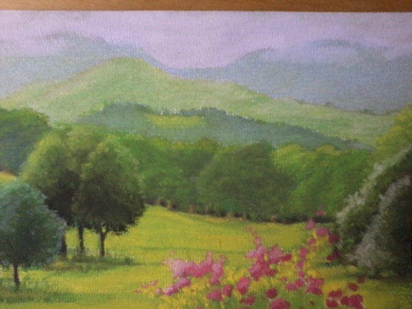 A walk in the Lake District