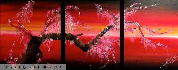 Cherry Blossom