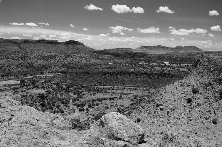 CDRI Lookback BnW1