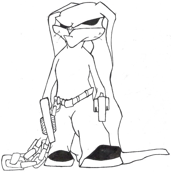 simple the rabbit3