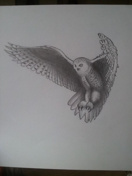 snowowl