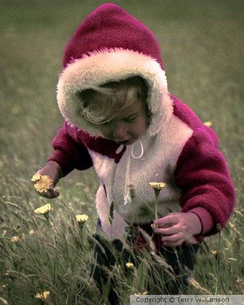 Picking Flowers